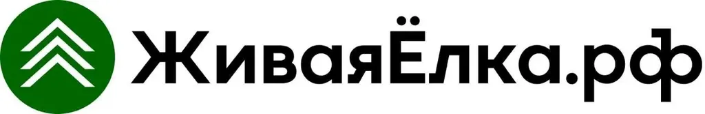 ЖиваяЁлка.рф