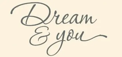 DreamAndYou