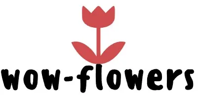 Wow Flowers